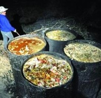 生活垃圾分類知識(shí)“地溝油”最后都去了哪里呢？