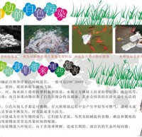 杜絕白色垃圾手抄報