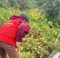 多舉措推進生活垃圾分類工作走深走實